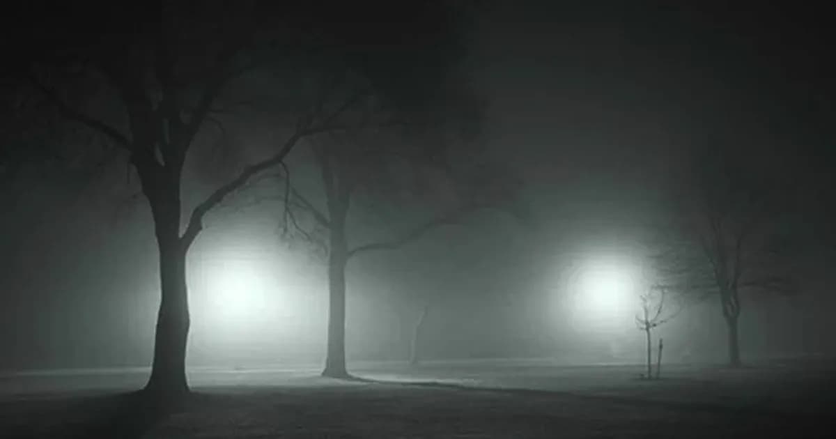 রাতে আরও বাড়তে পারে শীত, উত্তরাঞ্চলে ঘন কুয়াশার সম্ভাবনা