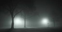 রাতে আরও বাড়তে পারে শীত, উত্তরাঞ্চলে ঘন কুয়াশার সম্ভাবনা