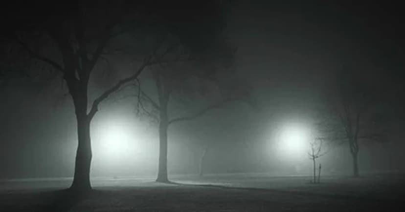 রাতে আরও বাড়তে পারে শীত, উত্তরাঞ্চলে ঘন কুয়াশার সম্ভাবনা