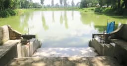 জুমার নামাজের সময় পুকুরে ডুবে প্রাণ গেল দুই শিশুর