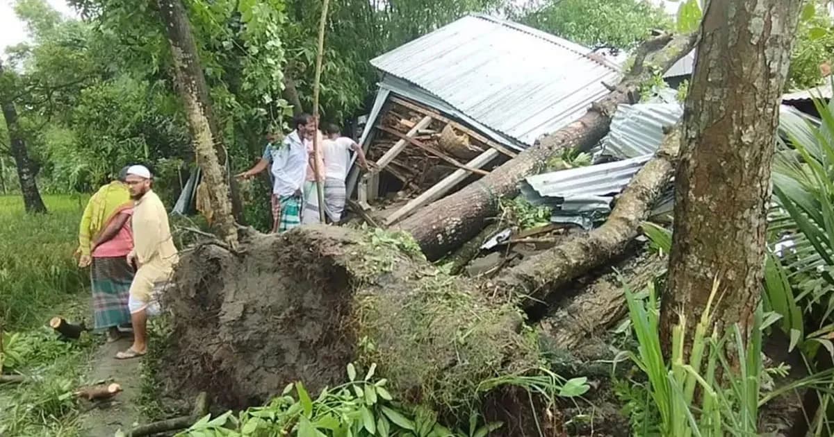 কালবৈশাখী ঝড়ে গাছ পড়ে মা ও দুই মেয়েসহ তিনজনের মৃত্যু