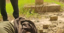 জীবননগরে কোল্ড স্টোরেজের ছাদ থেকে পড়ে যুবকের মৃত্যু