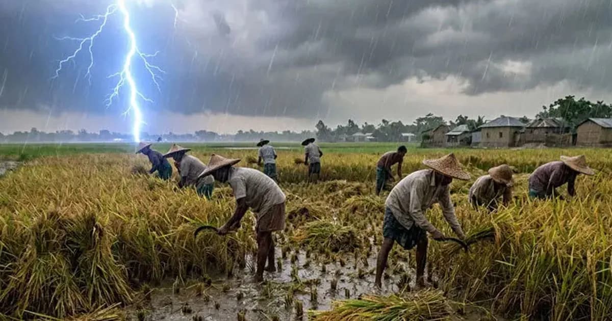 নওগাঁয় বজ্রপাতে তিন কৃষকের মৃত্যু