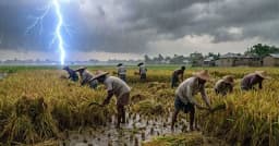 নওগাঁয় বজ্রপাতে তিন কৃষকের মৃত্যু