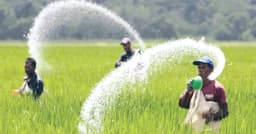 ২১০৬ কোটি টাকায় ২ লাখ ৬০ হাজার টন সার কিনবে সরকার