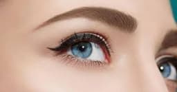 দৃষ্টিশক্তি ভালো রাখতে খাদ্যতালিকায় রাখুন এই ৫ খাবার