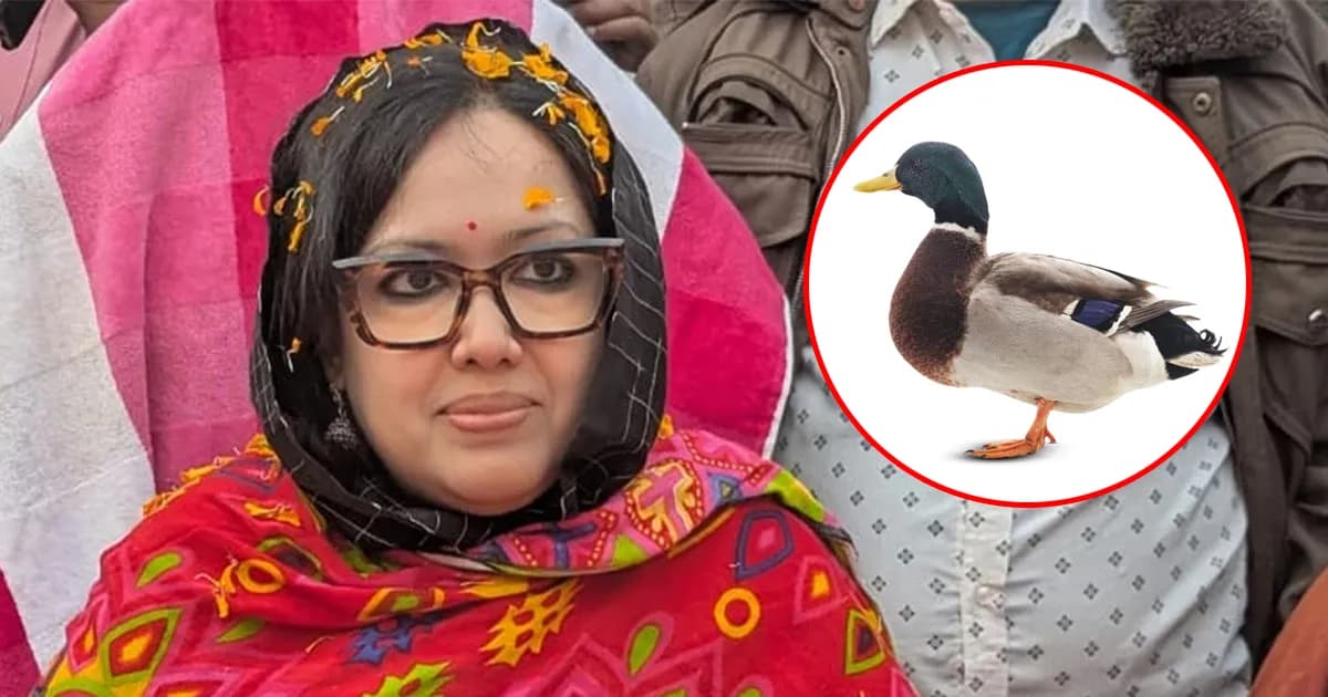 হাঁস প্রতীক পেলেন ব্যারিস্টার রুমিন ফারহানা