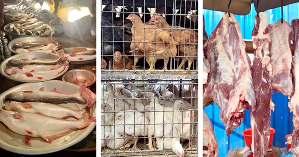 ঈদের পরও বাজারে মুরগির দাম চড়া, গরু-খাসি স্থিতিশীল