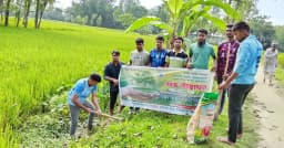 পরিবেশ সুরক্ষায় লালমনিরহাটে তাল বীজ বপন কর্মসূচি