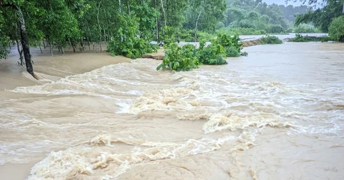 জুলাইজুড়ে ভারি বৃষ্টির আভাস, তিন অঞ্চলে বন্যার আশঙ্কা