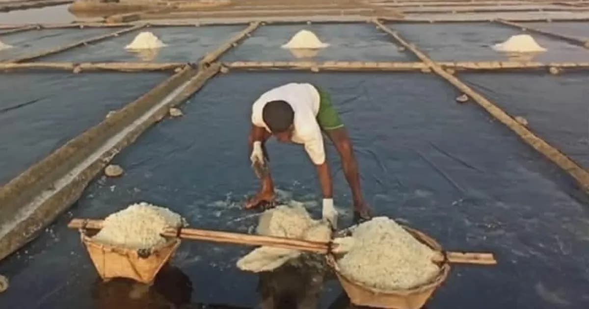 কালবৈশাখীর তাণ্ডবে কোটি টাকার ক্ষতিতে দিশেহারা লবণচাষি