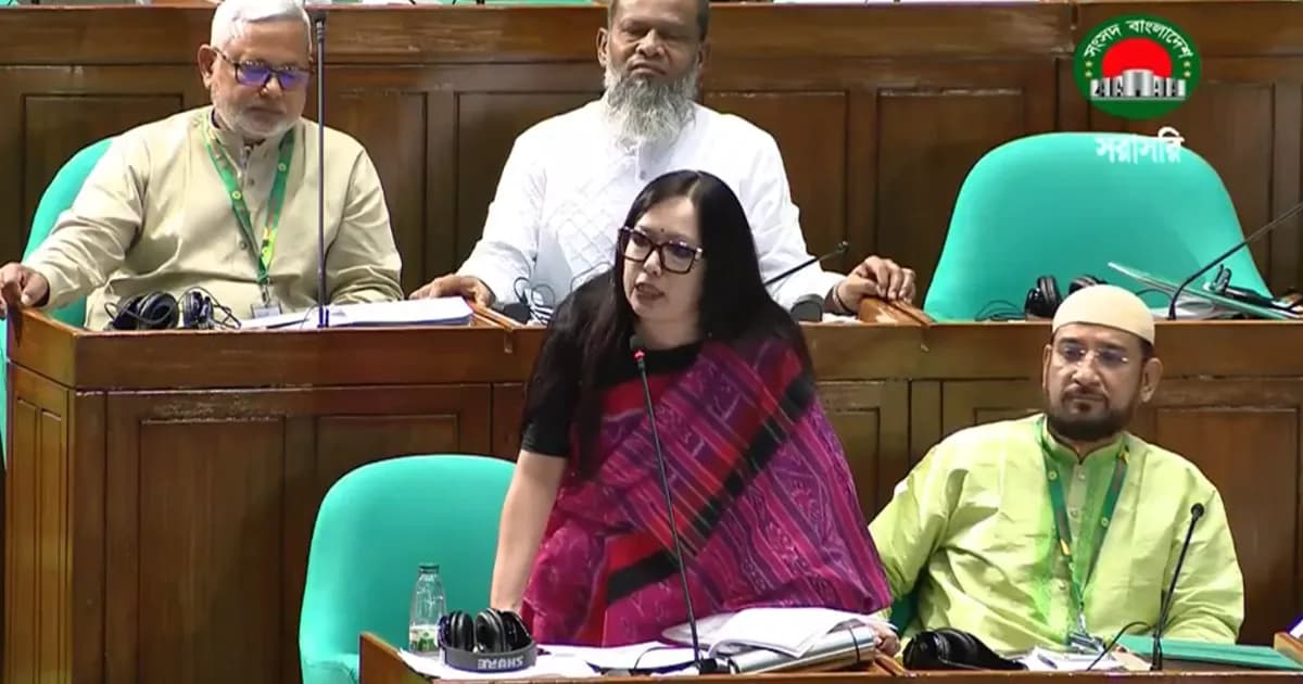 মনোনয়ন না দেওয়ায় বিএনপিকে ‘ধন্যবাদ’ জানালেন রুমিন ফারহানা