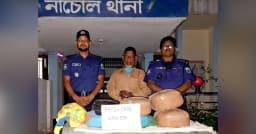 চাঁপাইনবাবগঞ্জের নাচোলে গাঁজাসহ মাদক কারবারি আটক