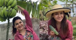 নিজের বাগানের ফসল তুলতে উচ্ছ্বাসে ভাসলেন জয়া আহসান