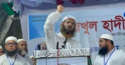 যেই ক্ষমতায় যায়, সেই হাসিনা হতে চায়: মামুনুল হক