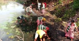 প্রধানমন্ত্রীর নির্দেশনার পর হাতিরঝিলে পরিচ্ছন্নতা কার্যক্রম জোরদার