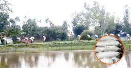 কুড়িগ্রামে গুদাম ভেঙে ১৬৭ বস্তা সার নিয়ে গেলেন কৃষকেরা