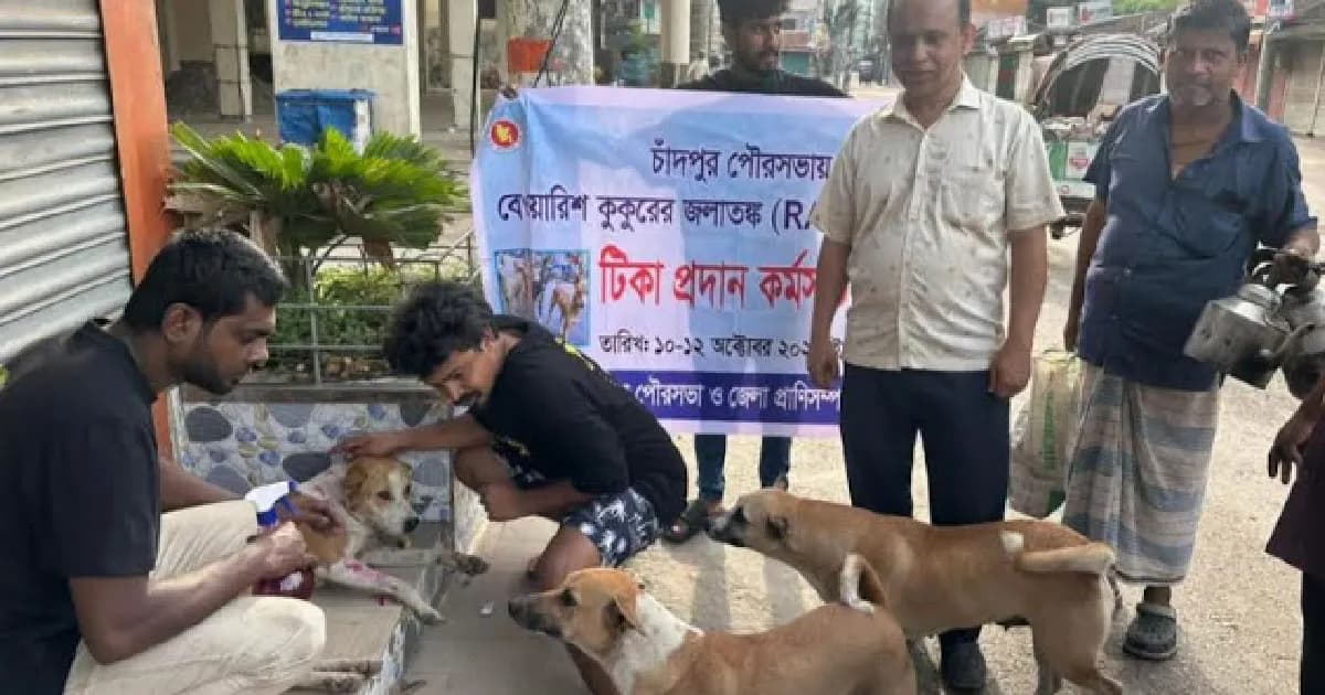 চাঁদপুরে কুকুরকে দেয়া হচ্ছে জলাতঙ্ক টিকা