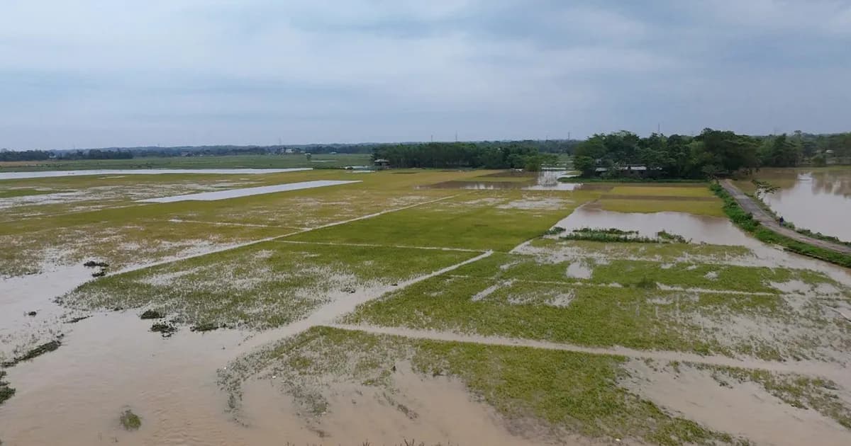 পাহাড়ি ঢলে মৌলভীবাজারে ৩০ গ্রাম প্লাবিত, ৬০০ হেক্টর বোরো ধান তলিয়ে গেছে