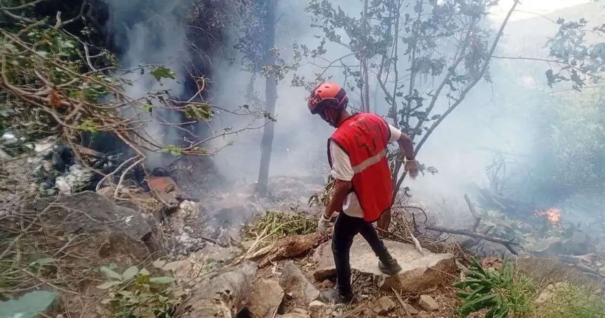 কেনিয়ায় হেলিকপ্টার বিধ্বস্ত, গোয়েন্দাপ্রধানসহ নিহত ৭