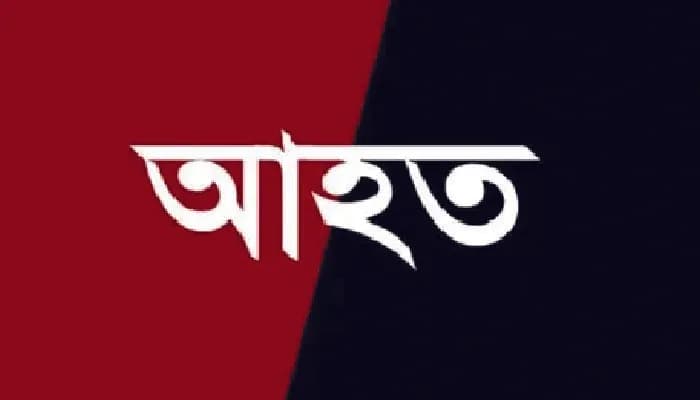 দর্শনা কেরুজ চিনিকল গ্যারেজের ট্রাক্টরের টায়ার ফেঁটে ২ শ্রমিক আহত