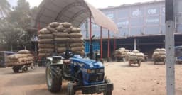 হিমাগারে জায়গা নেই, আলু নিয়ে বিপাকে কৃষক