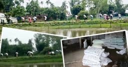 মজুত থাকলেও কৃষকের হাতে কেন পৌঁছাচ্ছে না সার?