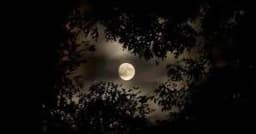 বছরের সবচেয়ে বড় রাত আজ