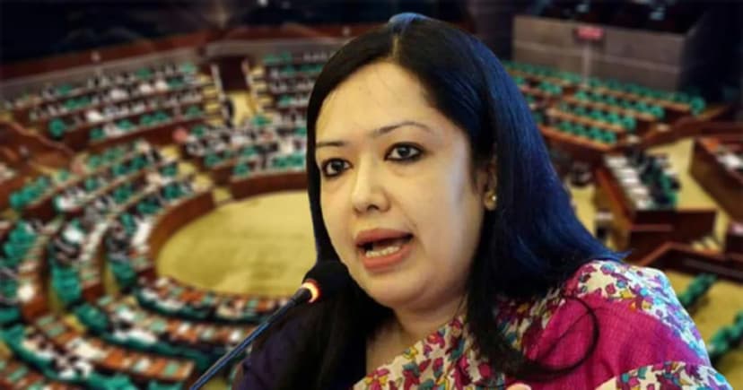 ১০০ দিনে খুন ৬০৫, অপহরণ ১৯৬ : সংসদে ক্ষোভ রুমিন ফারহানার