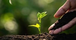 মাটি শুধু সম্পদ নয় মানব অস্তিত্বের মূলভিত্তি: গাকৃবি উপাচার্য