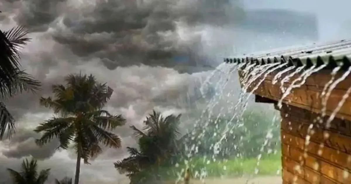 ঘূর্ণিঝড় ‘অর্ণব’: সাত বিভাগে বৃষ্টির আভাস, কমতে পারে তাপমাত্রা