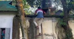 শ্রীপুরে বসতভিটায় বন্দী বিধবা, মই বেয়েই চলছে মা-ছেলের জীবন