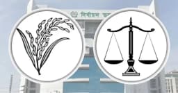 নির্বাচনে ৩ কোটি ৭৪ লাখ ভোট পেল ধানের শীষ, দাঁড়িপাল্লা কত?