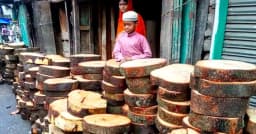 কোরবানির আগে কাঠপট্টিতে খাটিয়ার জমজমাট বেচা-কেনা