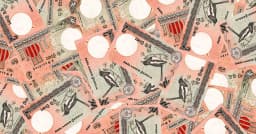 ভারতে বাংলাদেশি ২ টাকার ৬০ হাজার নোট উদ্ধার