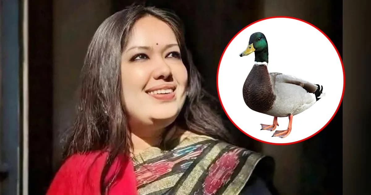 হাঁস প্রতীক পেয়ে আবেগঘন বার্তা দিলেন রুমিন ফারহানা