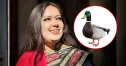 হাঁস প্রতীক পেয়ে আবেগঘন বার্তা দিলেন রুমিন ফারহানা