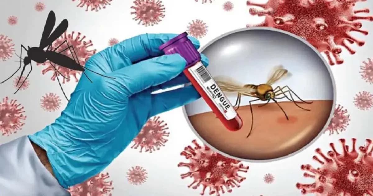 ডেঙ্গুতে ৩ জনের মৃত্যু, হাসপাতালে ৮৩৩