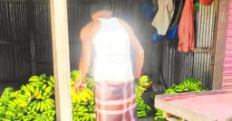 ব্রাহ্মণপাড়ায় রাসায়নিক দিয়ে কলা পাকানোর অভিযোগ