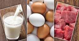 রমজানে রাজধানীতে সুলভ মূল্যে দুধ-ডিম-মাংস বিক্রি করবে সরকার