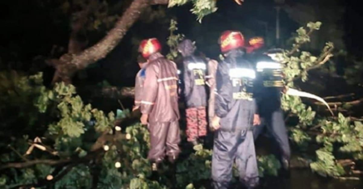 কুমিল্লায় ঘরের ওপর গাছ পড়ে এক পরিবারে ৩ জনের মৃত্যু