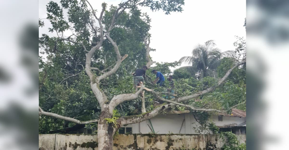 গোপালগঞ্জে ঘূর্ণিঝড় সিত্রাং এর প্রভাবে ২ নারীর মৃত্যু