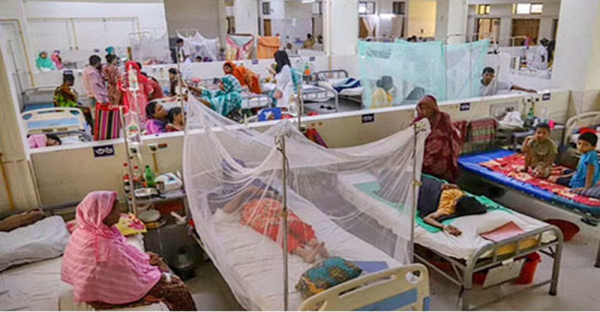 ডেঙ্গুতে মৃত্যু দুইশ ছাড়ালো