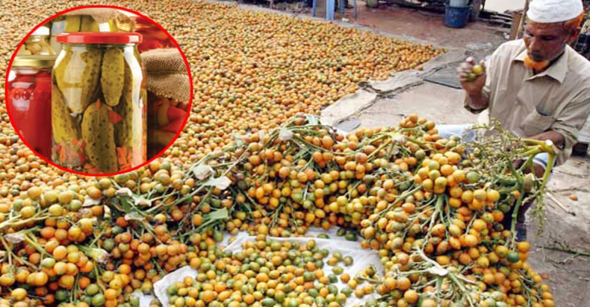 টেকনাফ স্থলবন্দর থেকে আচার ও সুপারি সরবরাহ বন্ধ