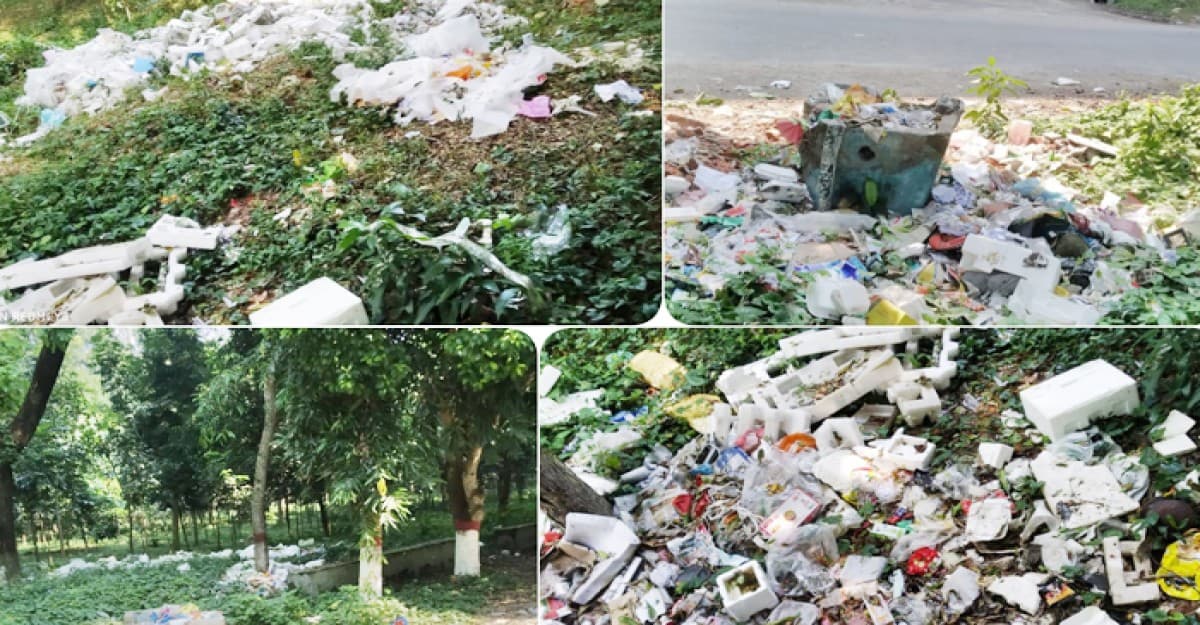 ইবিতে যত্রতত্র ময়লার ভাগাড়, স্বাস্থ্য ঝুঁকিতে শিক্ষার্থীরা