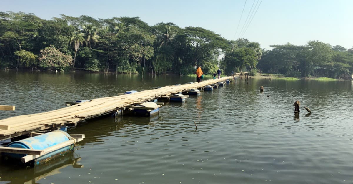 নড়বড়ে হয়ে গেছে কলাপাড়ার ভাসমান সেই কাঠের সেতু