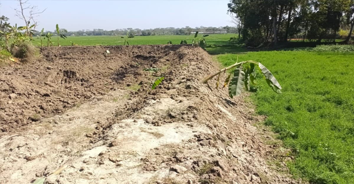 টুঙ্গিপাড়ায় তিন ফসলী জমি নষ্ট করে জোরপূর্বক দখলের অভিযোগ