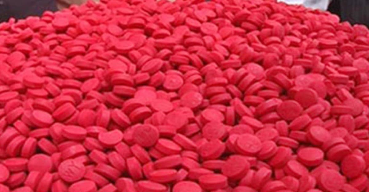 শ্রীনগরে ইয়াবাসহ দুই যুবক আটক