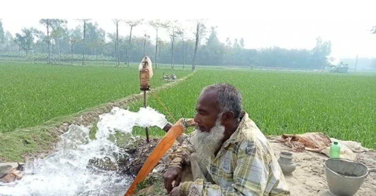 জলঢাকায় ইরি বোরো ধান চাষে বাড়তি খরচ