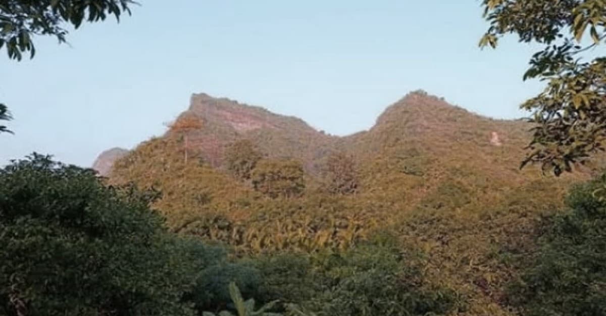 টেকনাফে অপহৃত ৭ জনকে গহীন পাহাড় থেকে উদ্ধার